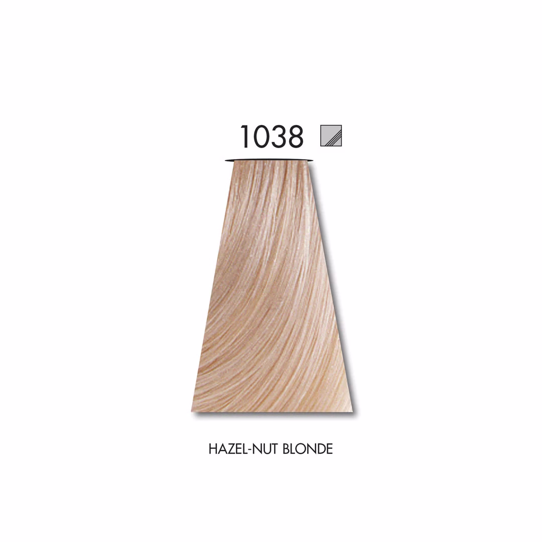 1038
